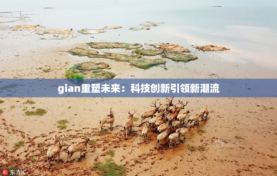 gian重塑未来：科技创新引领新潮流