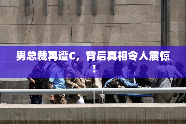 男总裁再遭C，背后真相令人震惊！