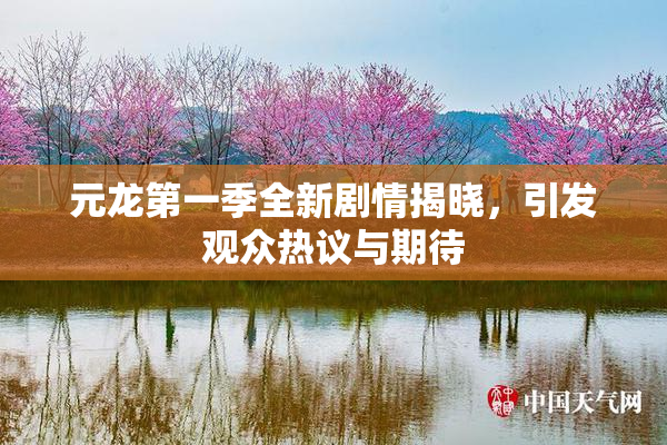元龙第一季全新剧情揭晓，引发观众热议与期待
