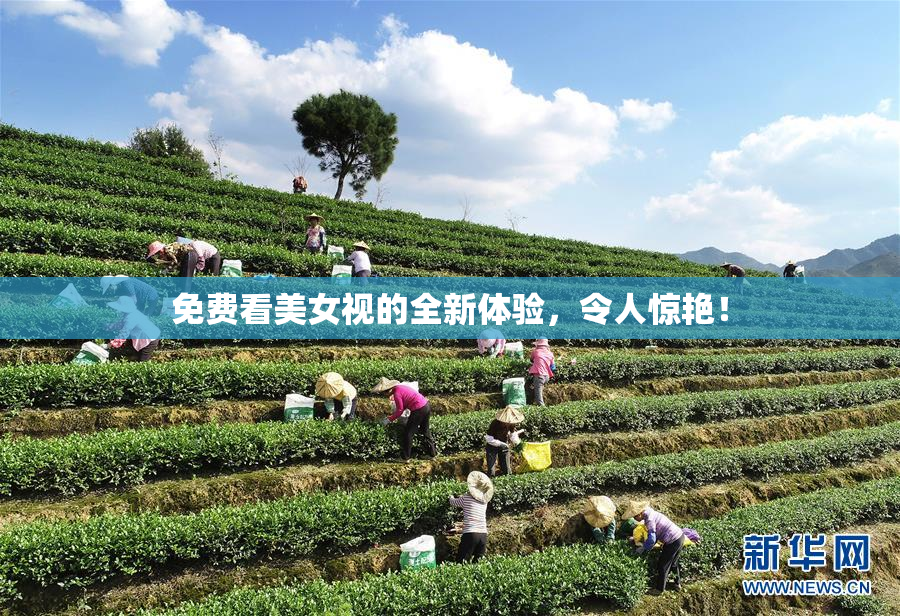 免费看美女视的全新体验，令人惊艳！
