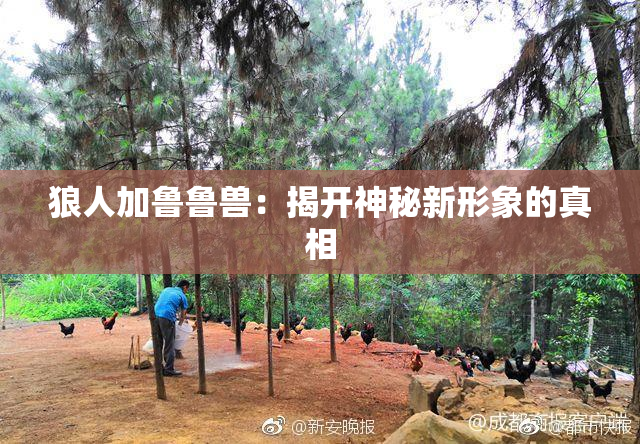 狼人加鲁鲁兽：揭开神秘新形象的真相