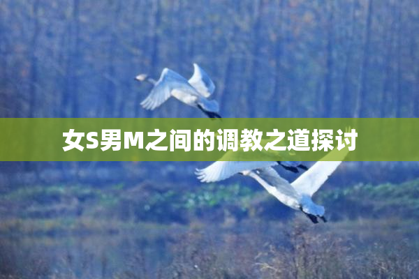 女S男M之间的调教之道探讨