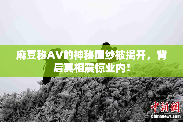 麻豆秘AV的神秘面纱被揭开，背后真相震惊业内！