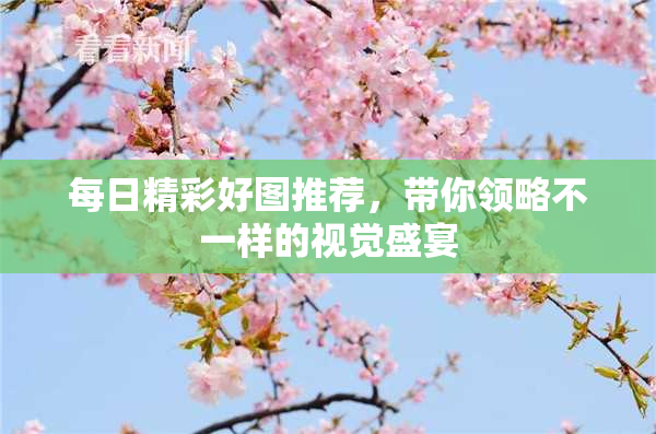 每日精彩好图推荐，带你领略不一样的视觉盛宴