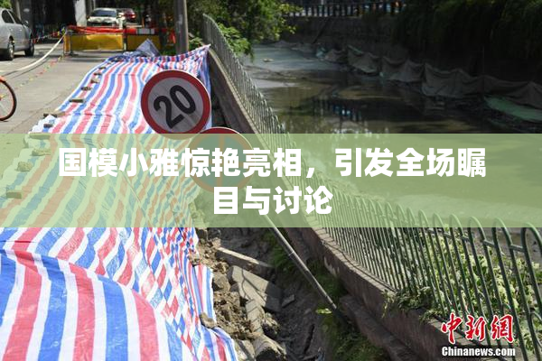 国模小雅惊艳亮相，引发全场瞩目与讨论