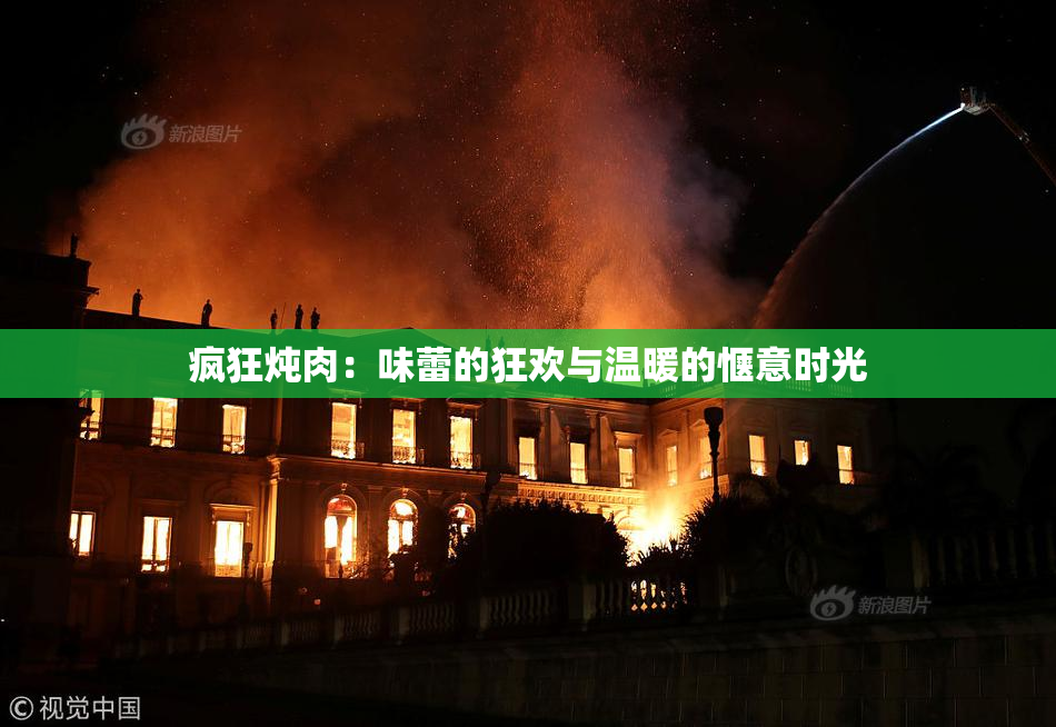 疯狂炖肉：味蕾的狂欢与温暖的惬意时光