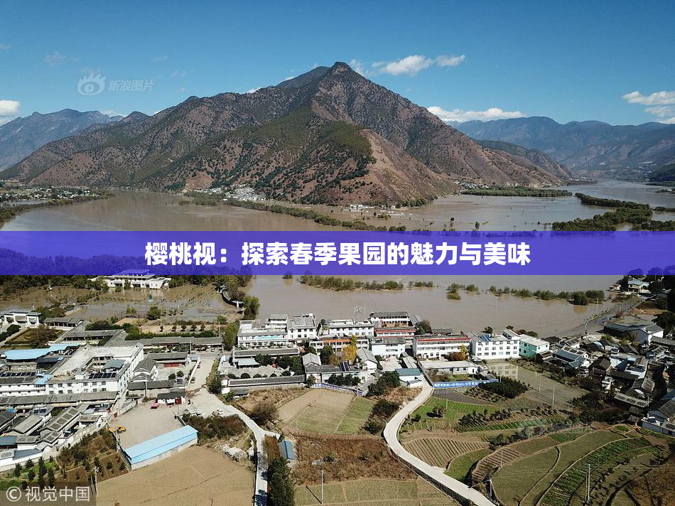 樱桃视：探索春季果园的魅力与美味