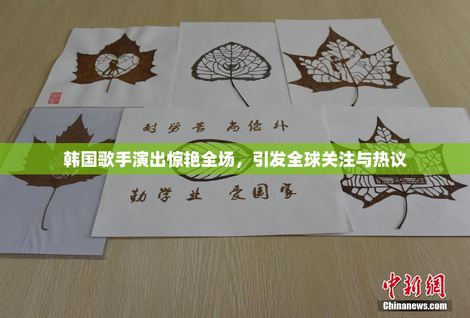 韩国歌手演出惊艳全场，引发全球关注与热议