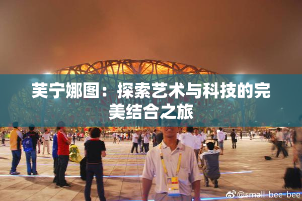 芙宁娜图：探索艺术与科技的完美结合之旅