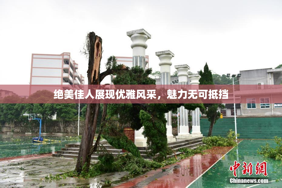 绝美佳人展现优雅风采，魅力无可抵挡