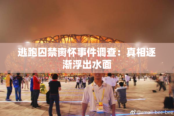 逃跑囚禁脔怀事件调查：真相逐渐浮出水面