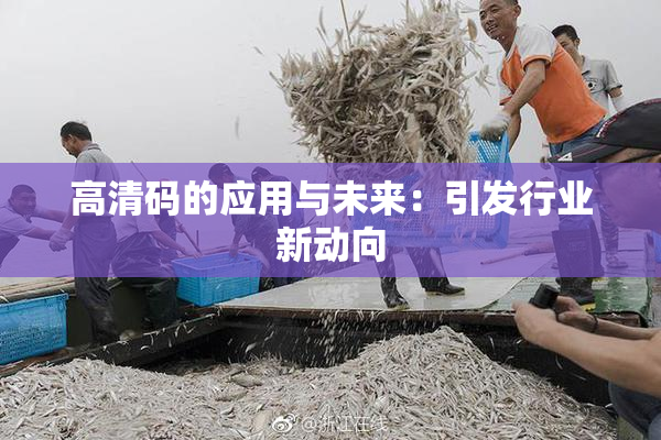 高清码的应用与未来：引发行业新动向