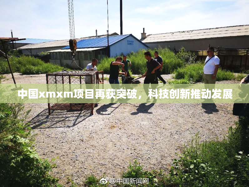 中国xmxm项目再获突破，科技创新推动发展