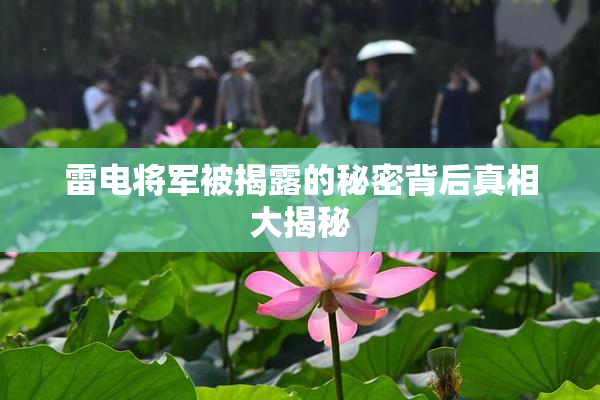 雷电将军被揭露的秘密背后真相大揭秘