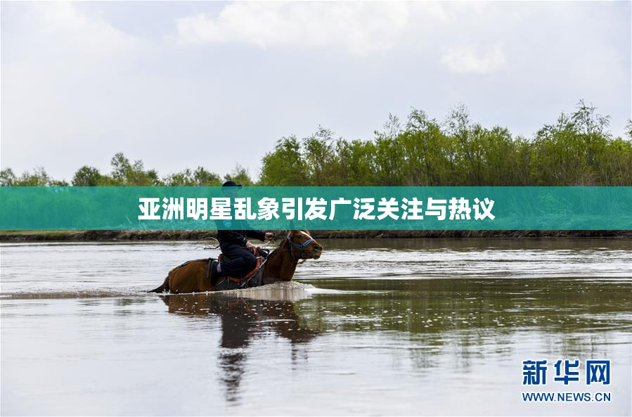 亚洲明星乱象引发广泛关注与热议