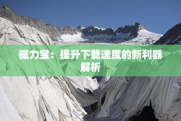 磁力宝：提升下载速度的新利器解析