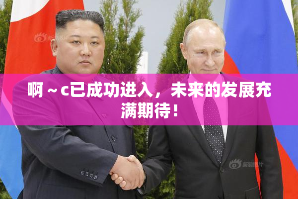 啊～c已成功进入，未来的发展充满期待！