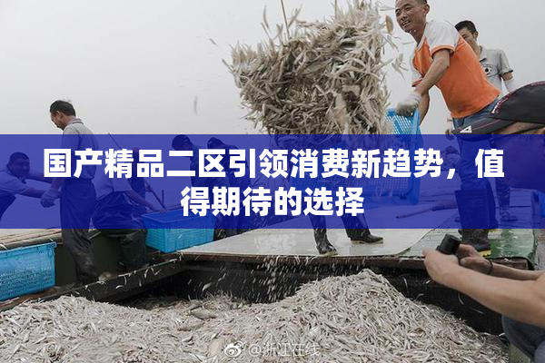 国产精品二区引领消费新趋势，值得期待的选择