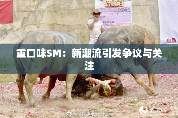 重口味SM：新潮流引发争议与关注