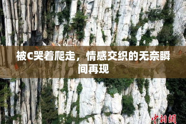 被C哭着爬走，情感交织的无奈瞬间再现