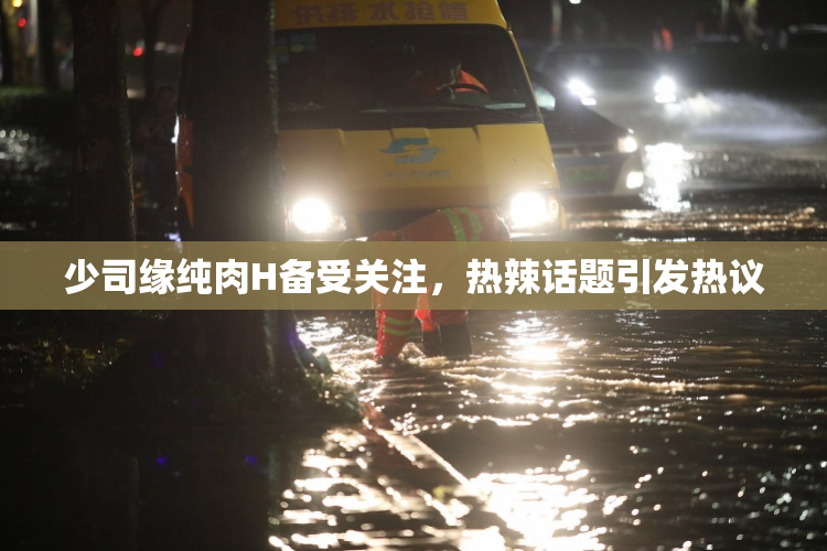 少司缘纯肉H备受关注，热辣话题引发热议