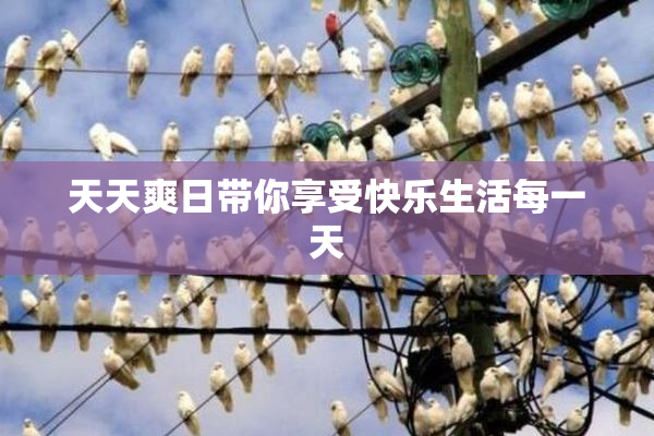 天天爽日带你享受快乐生活每一天