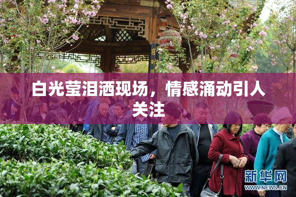 白光莹泪洒现场，情感涌动引人关注