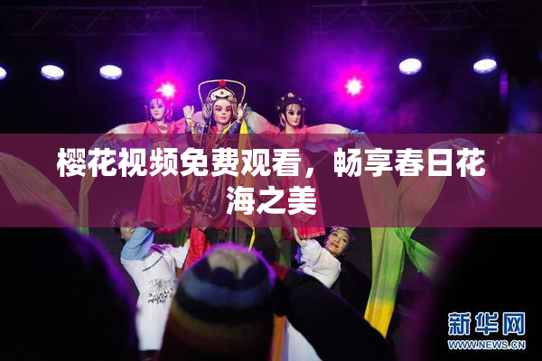 樱花视频免费观看，畅享春日花海之美