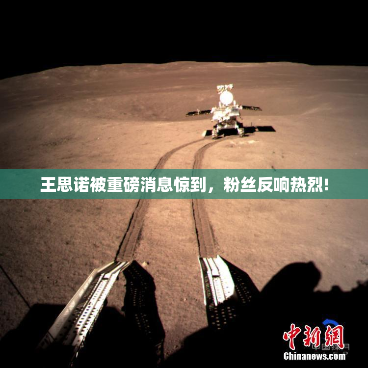 王思诺被重磅消息惊到，粉丝反响热烈!