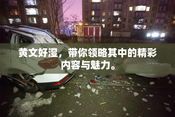 黄文好湿，带你领略其中的精彩内容与魅力。