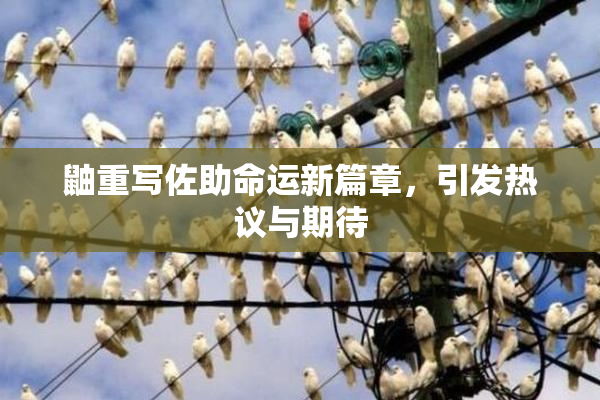 鼬重写佐助命运新篇章，引发热议与期待