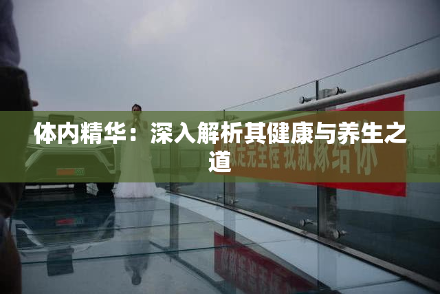 体内精华：深入解析其健康与养生之道