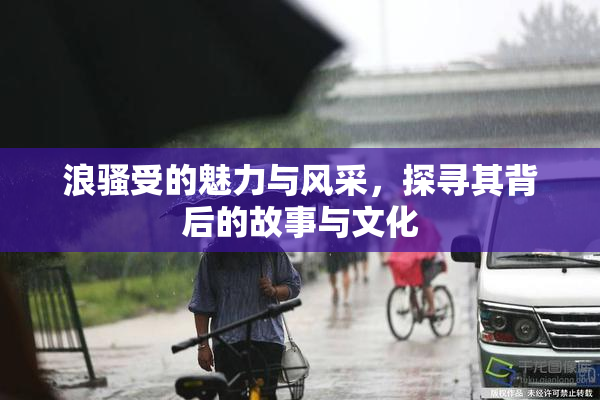 浪骚受的魅力与风采，探寻其背后的故事与文化