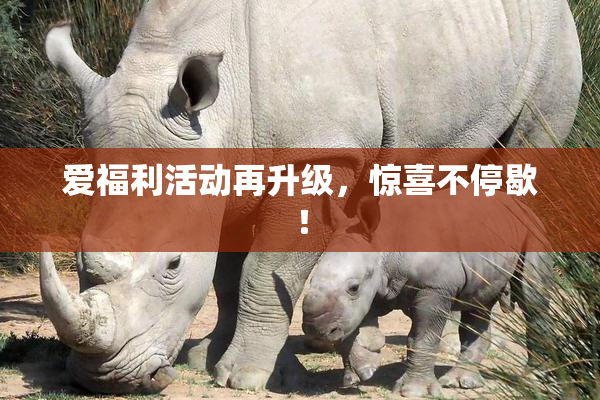 爱福利活动再升级，惊喜不停歇！