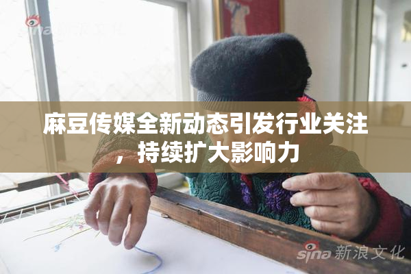 麻豆传媒全新动态引发行业关注，持续扩大影响力