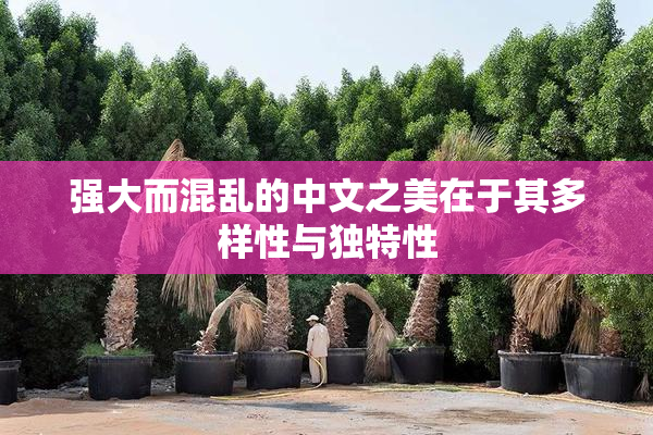 强大而混乱的中文之美在于其多样性与独特性