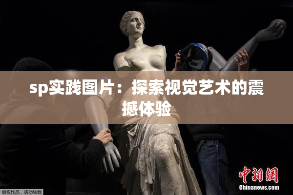 sp实践图片：探索视觉艺术的震撼体验
