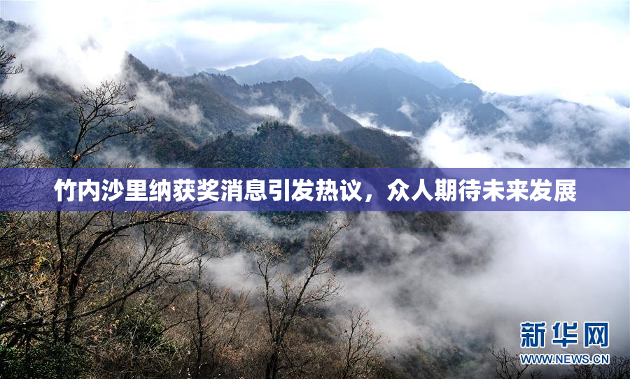 竹内沙里纳获奖消息引发热议，众人期待未来发展