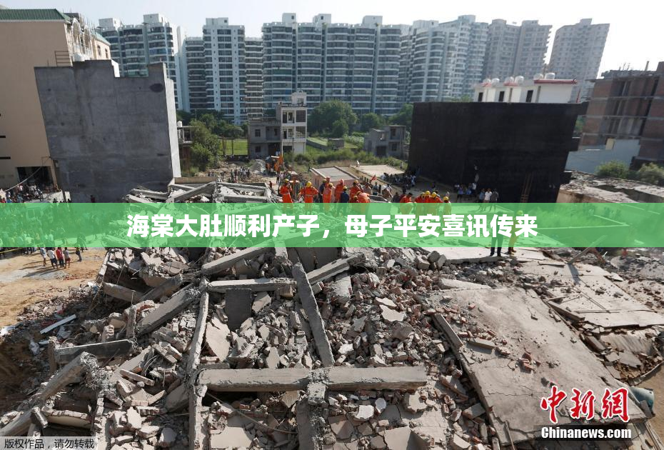 海棠大肚顺利产子，母子平安喜讯传来