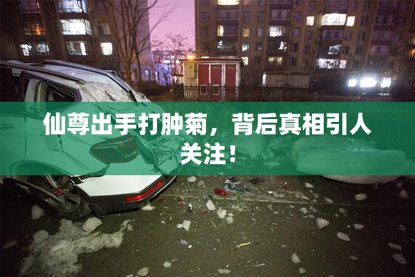 仙尊出手打肿菊，背后真相引人关注！