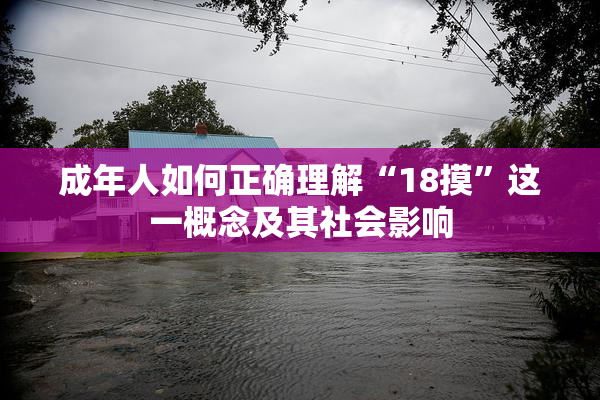 成年人如何正确理解“18摸”这一概念及其社会影响