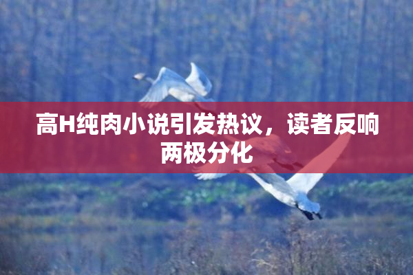 高H纯肉小说引发热议，读者反响两极分化