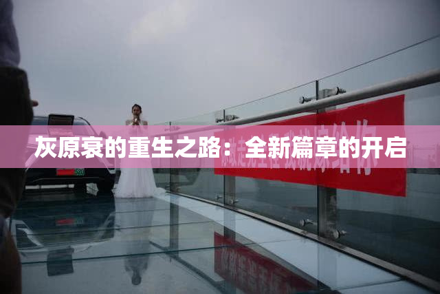灰原衰的重生之路：全新篇章的开启