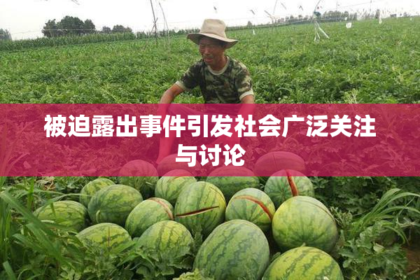 被迫露出事件引发社会广泛关注与讨论