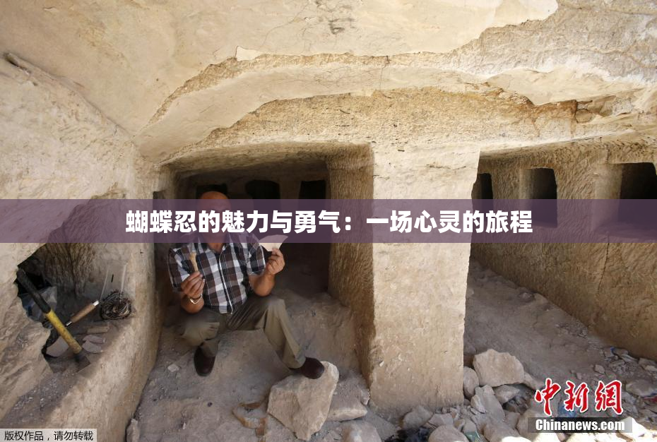 蝴蝶忍的魅力与勇气：一场心灵的旅程