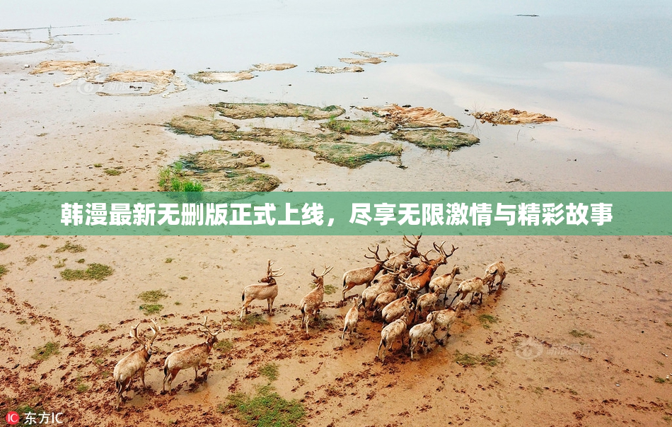 韩漫最新无删版正式上线，尽享无限激情与精彩故事
