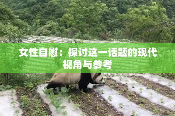 女性自慰：探讨这一话题的现代视角与参考