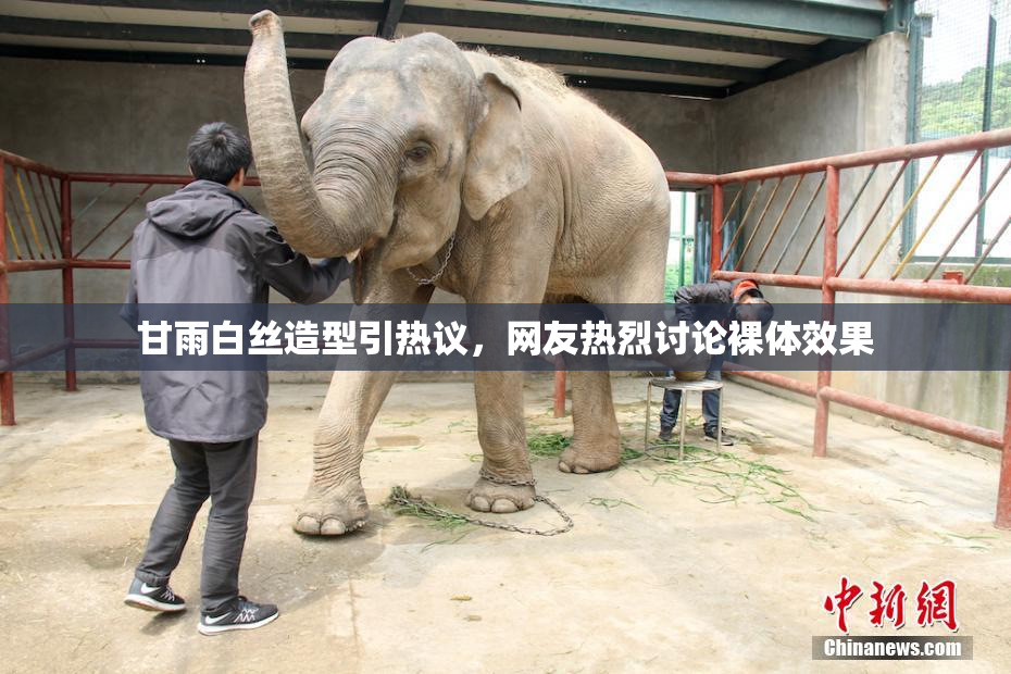 甘雨白丝造型引热议，网友热烈讨论裸体效果