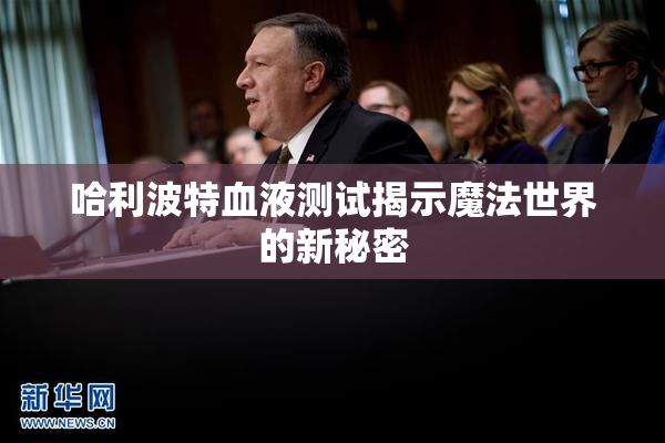 哈利波特血液测试揭示魔法世界的新秘密