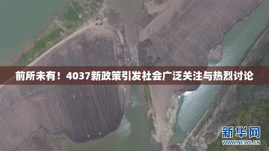 前所未有！4037新政策引发社会广泛关注与热烈讨论